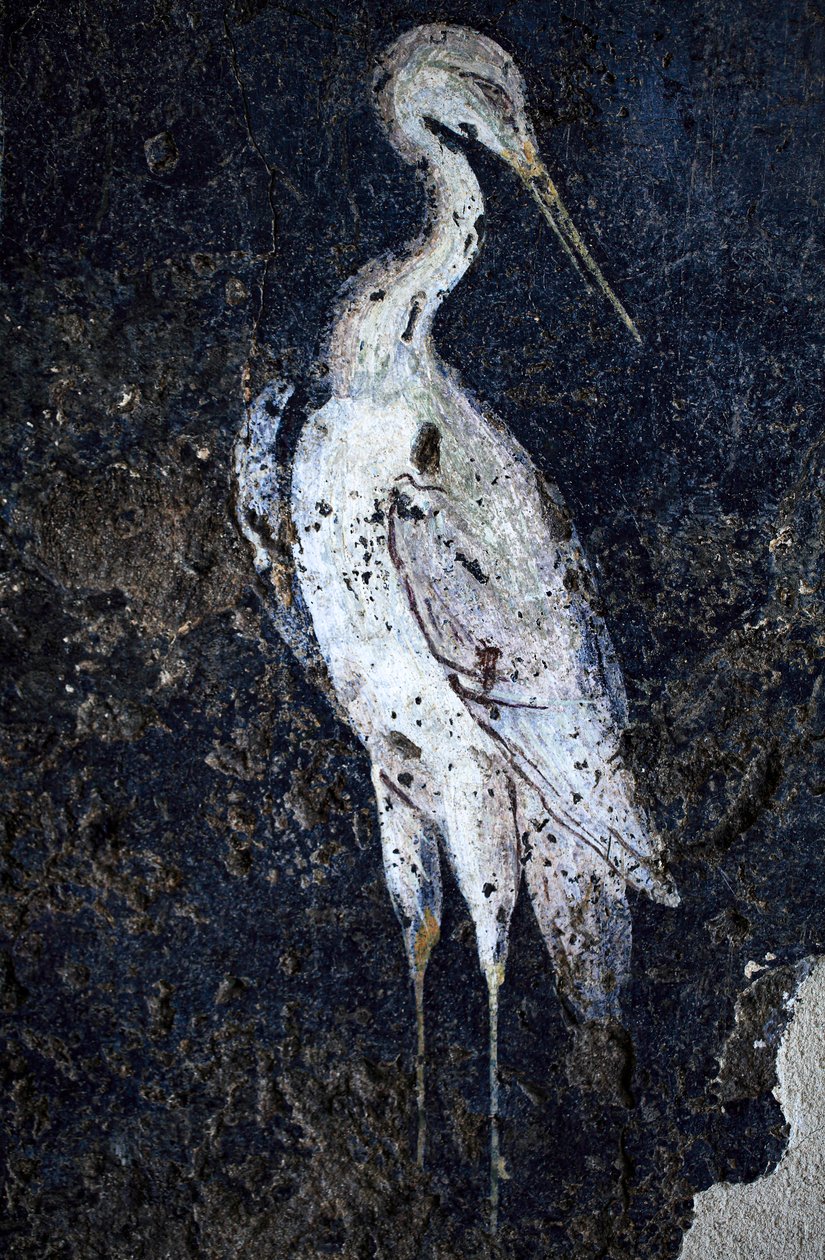 Romeinse muurschildering door Gallo-Roman