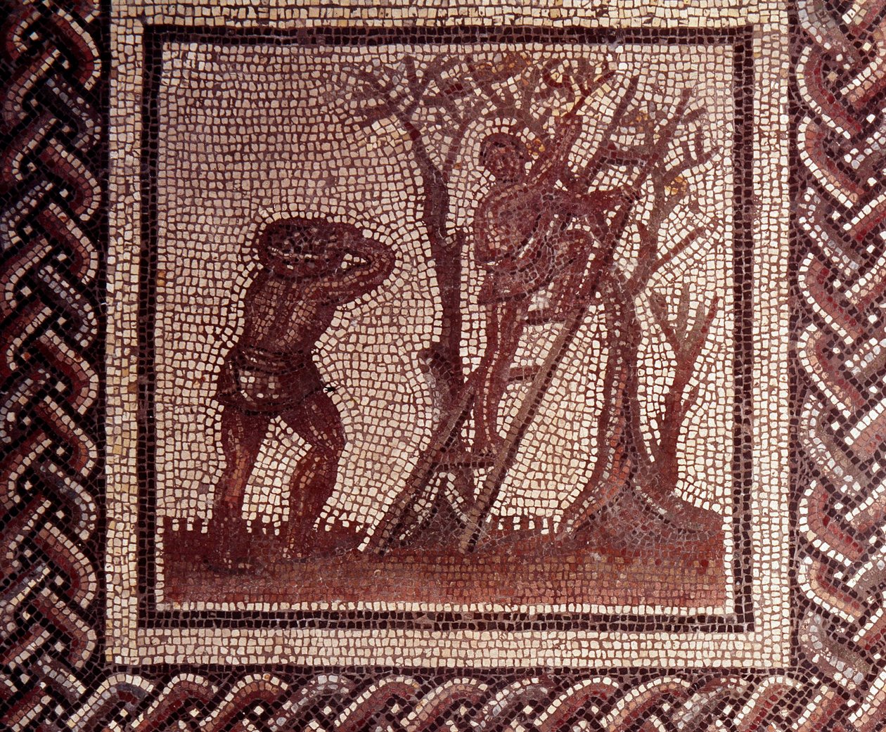 Gallo-Romeinse kunst: mozaïekbestrating die een rustieke kalender voorstelt. Olijven plukken scène. Eind 2e, begin 3e eeuw na Christus. Uit Saint-Romain-en-Gal (Rhone). Saint Germain en Laye, Nationaal Archeologisch Museum door Gallo Roman