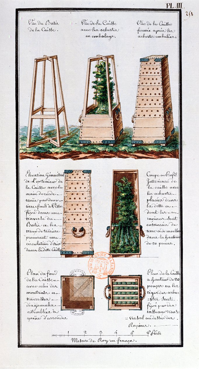 Illustratie van een speciaal kabinet voor het transporteren van struiken en heesters, uit het notitieboek van de kunstenaar gemaakt tijdens de expedities van Jean-Francois Gallup de la Perouse (1741-88) door Gaspard Duche de Vancy