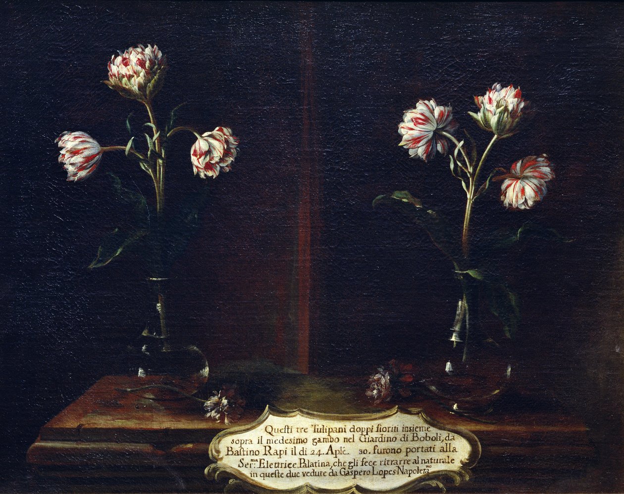 Tulpen door Gasparo Lopez