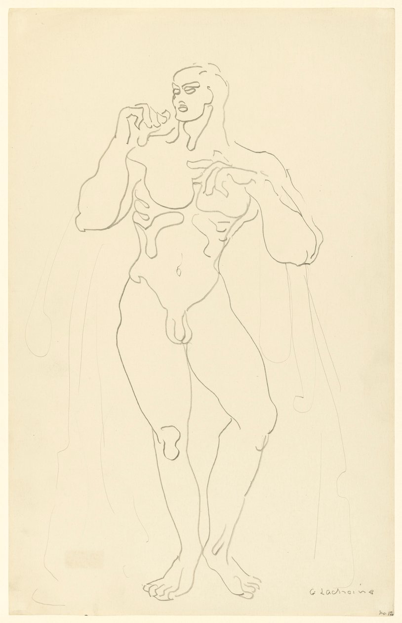 Mannelijk Naakt Nr. 12 door Gaston Lachaise