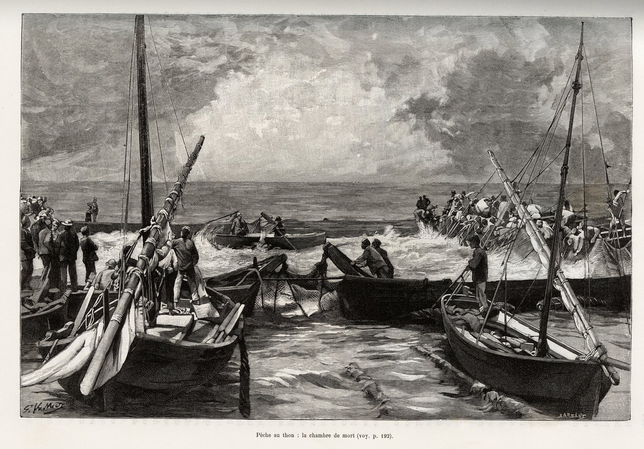 Tonijnvissen (mattanza): de doodskamer, tonijnen worden in een krappe ruimte geperst en bedekt door de harpoenen van de vissers. Gravure en verhaal La Sardaigne door Gaston Vuillier (1845-1915), in 1890, in Le tour du monde, nouveau journal des voyages, on door Gaston Vuillier