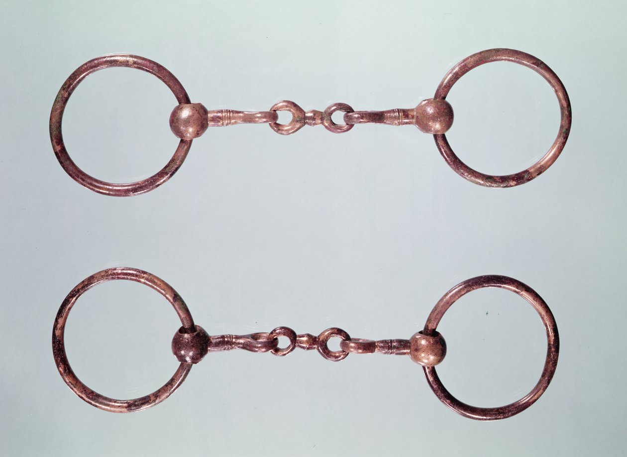 Paardenbitten, uit La Gorge-Meillet, Tene I (ca.475-0 v.Chr.) door Gaulish