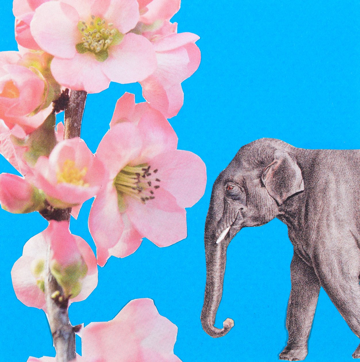 Olifantenbloesem, 2018, collage door Genevieve French