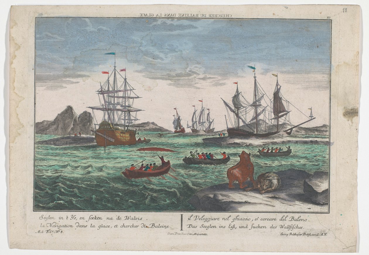 Gezicht op het zoeken naar de walvissen door Georg Balthasar Probst