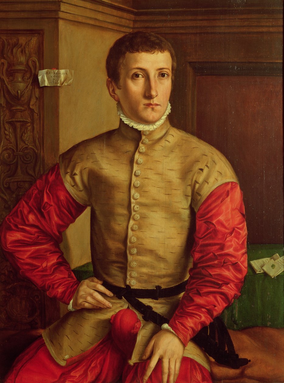 Portret van een Jongeman, 1544 door Georg Pencz
