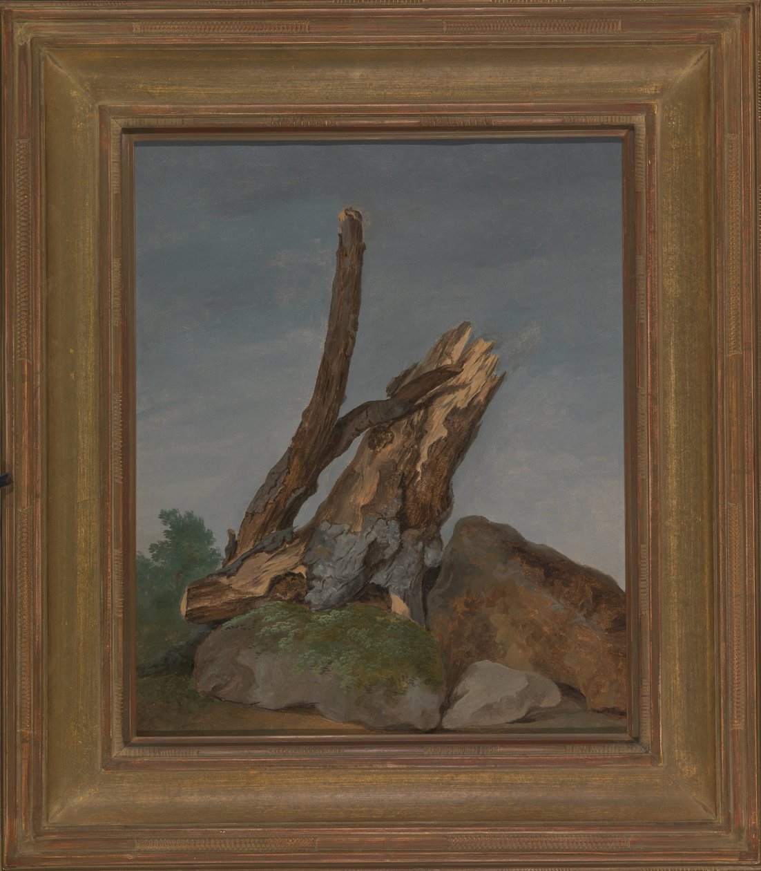 Studie van rotsen en takken door George Augustus Wallis
