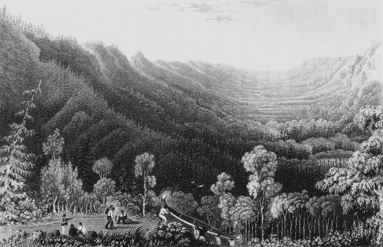 Vale van de Clearwater River vanaf de Methye Portage, 1828 door George Back