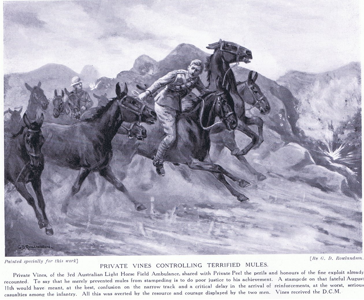 Private Vines bekroond met de DCM voor het beheersen van bange muilezels, augustus 1915 door George Derville Rowlandson