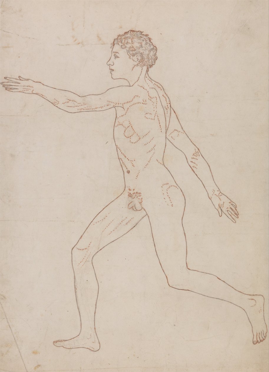 Vergelijkende anatomische expositie van de structuur van het menselijk lichaam met dat van een tijger en een koe door George Stubbs