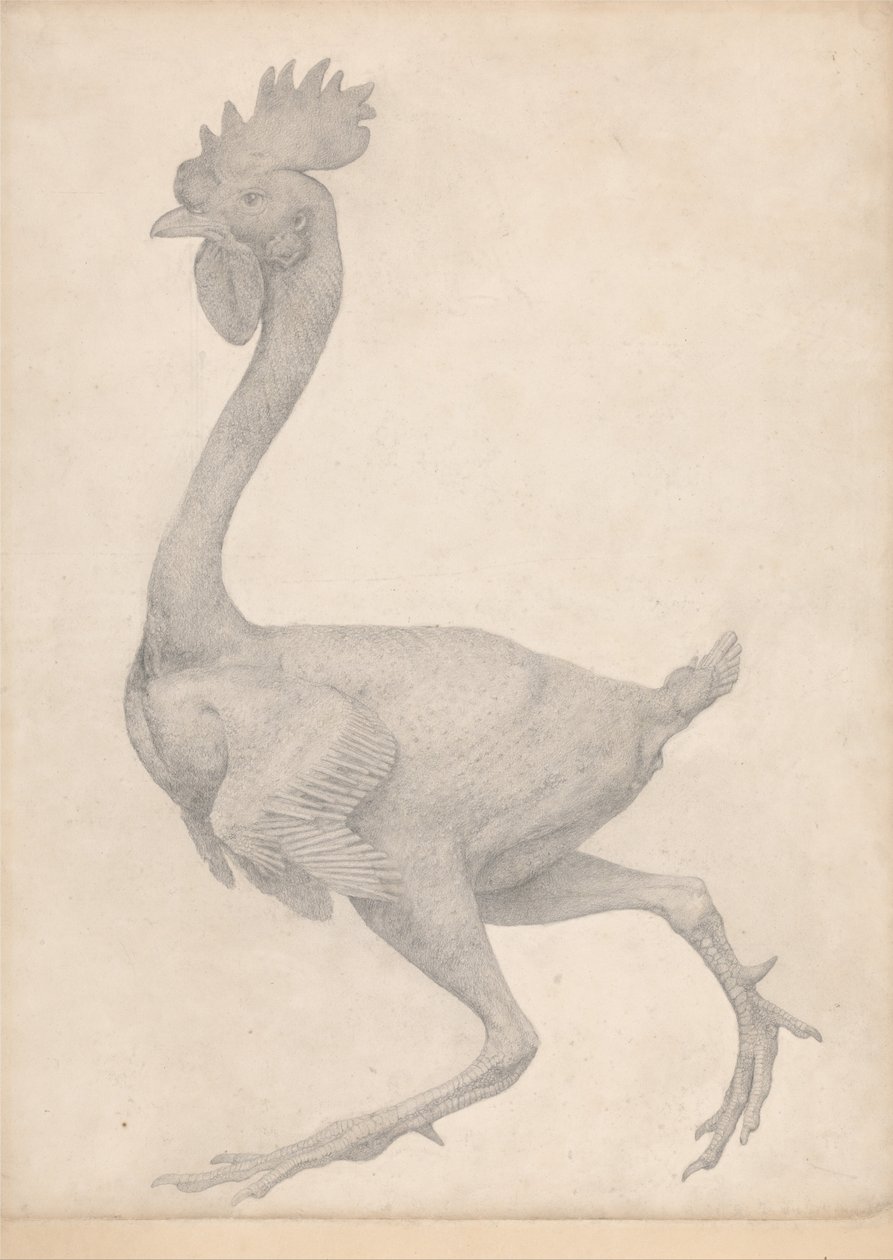 Vergelijkende anatomische expositie van de structuur van het menselijk lichaam met dat van een tijger en een koe door George Stubbs