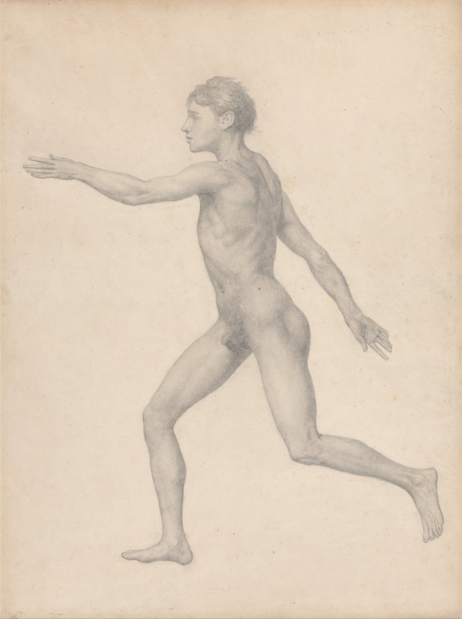 Een Vergelijkende Anatomische Expositie van de Structuur van het Menselijk Lichaam met die van een Tijger en een Koe door George Stubbs