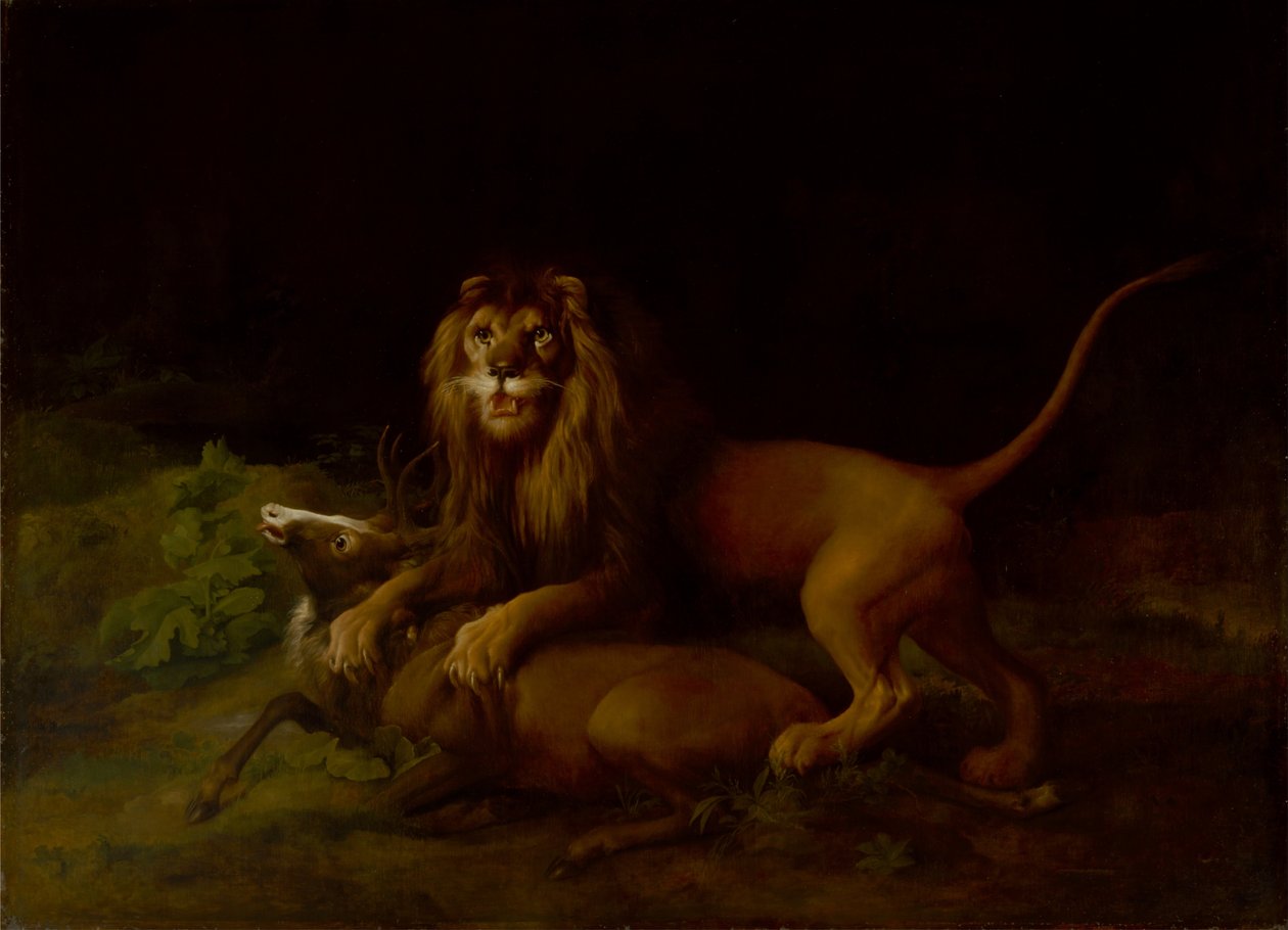 Een leeuw die een hert aanvalt door George Stubbs