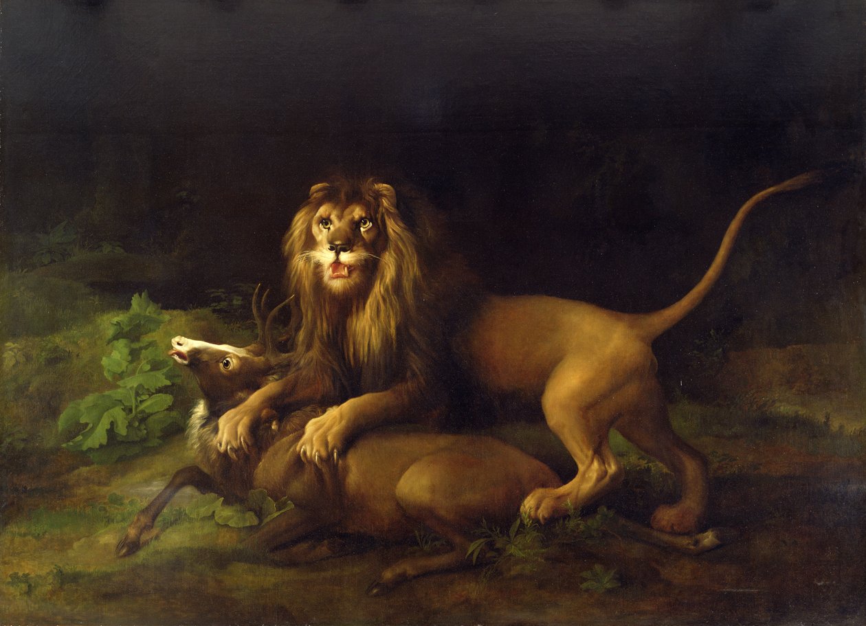 Een leeuw die een hert aanvalt, c.1765 door George Stubbs