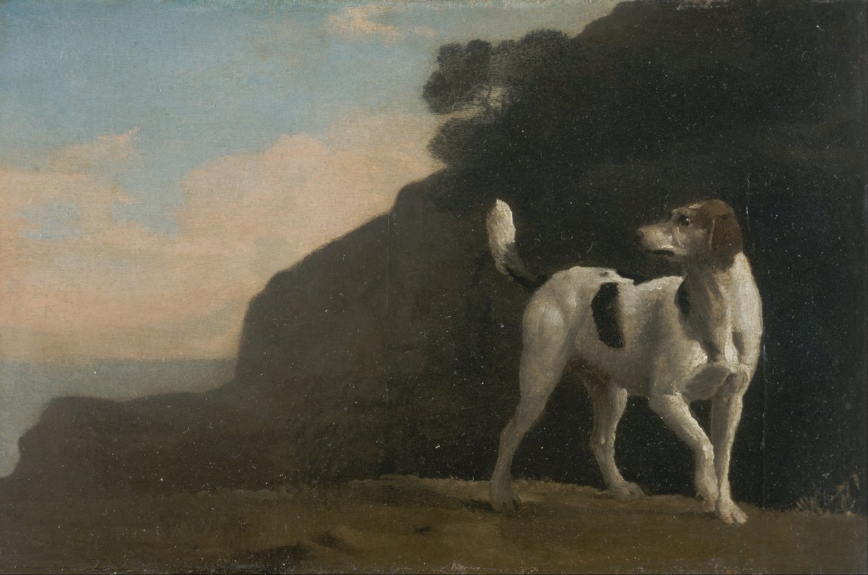 Foxhound door George Stubbs