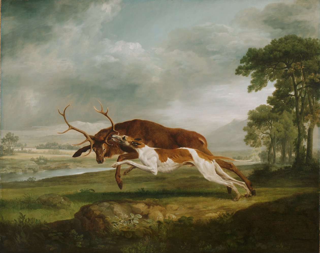 Hond jaagt op een hert door George Stubbs
