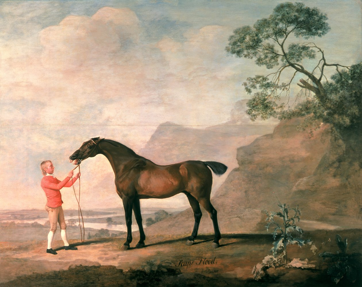 Overstroming door George Stubbs
