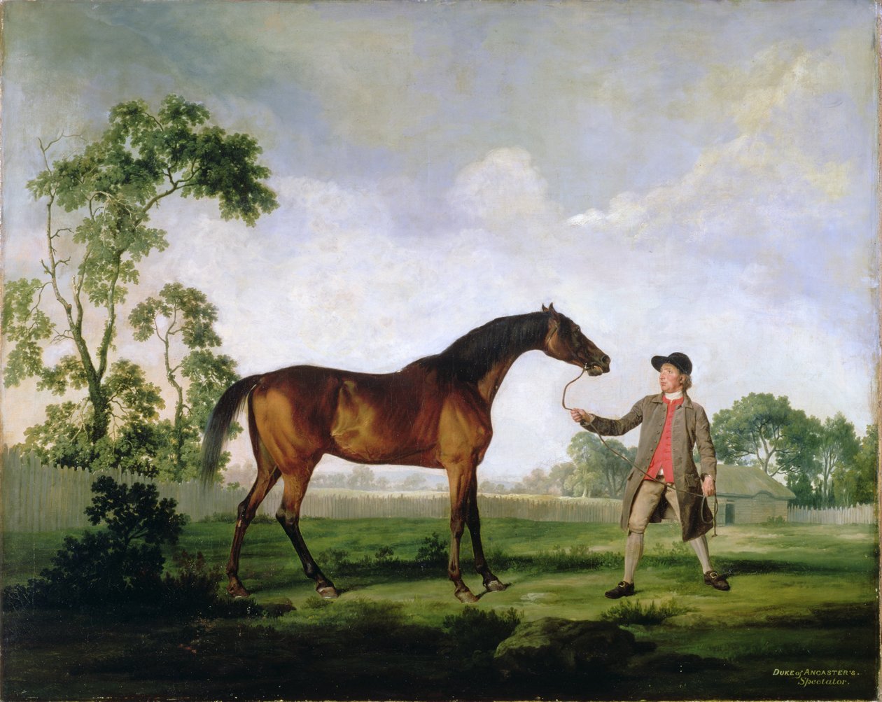 De baai hengst Spectator van de Hertog van Ancaster, vastgehouden door een stalknecht, c.1762-5 door George Stubbs