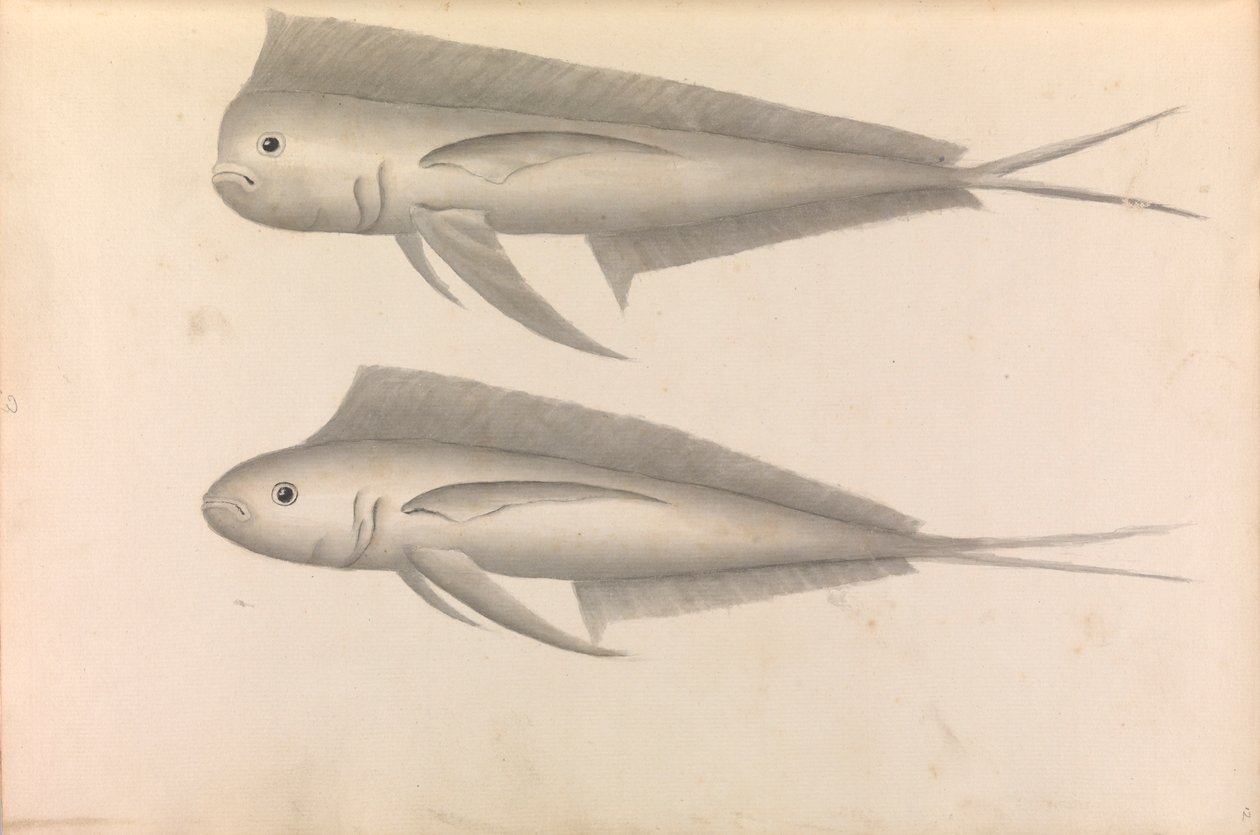 Verslag van Commodore George Anson