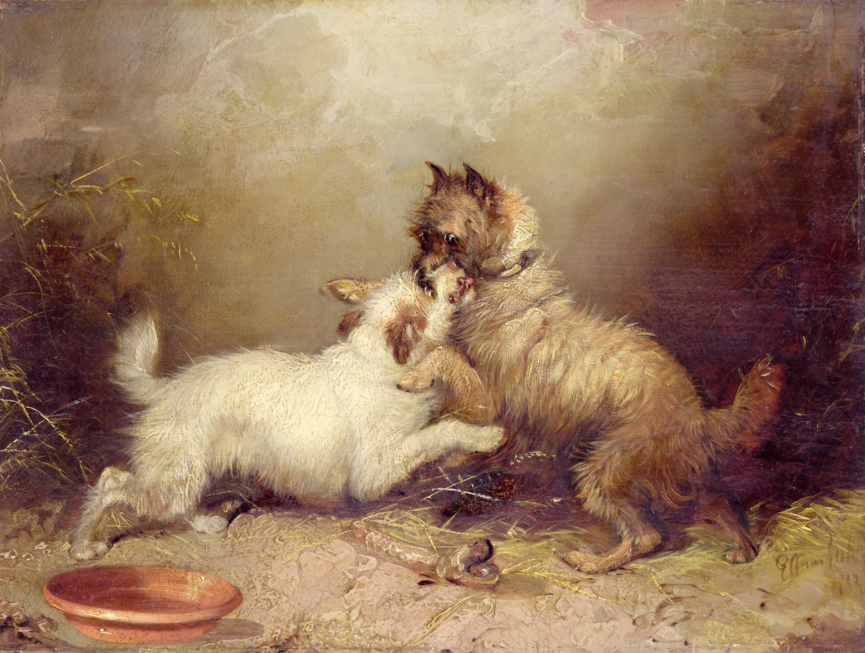 Het bot van de strijd door George Armfield