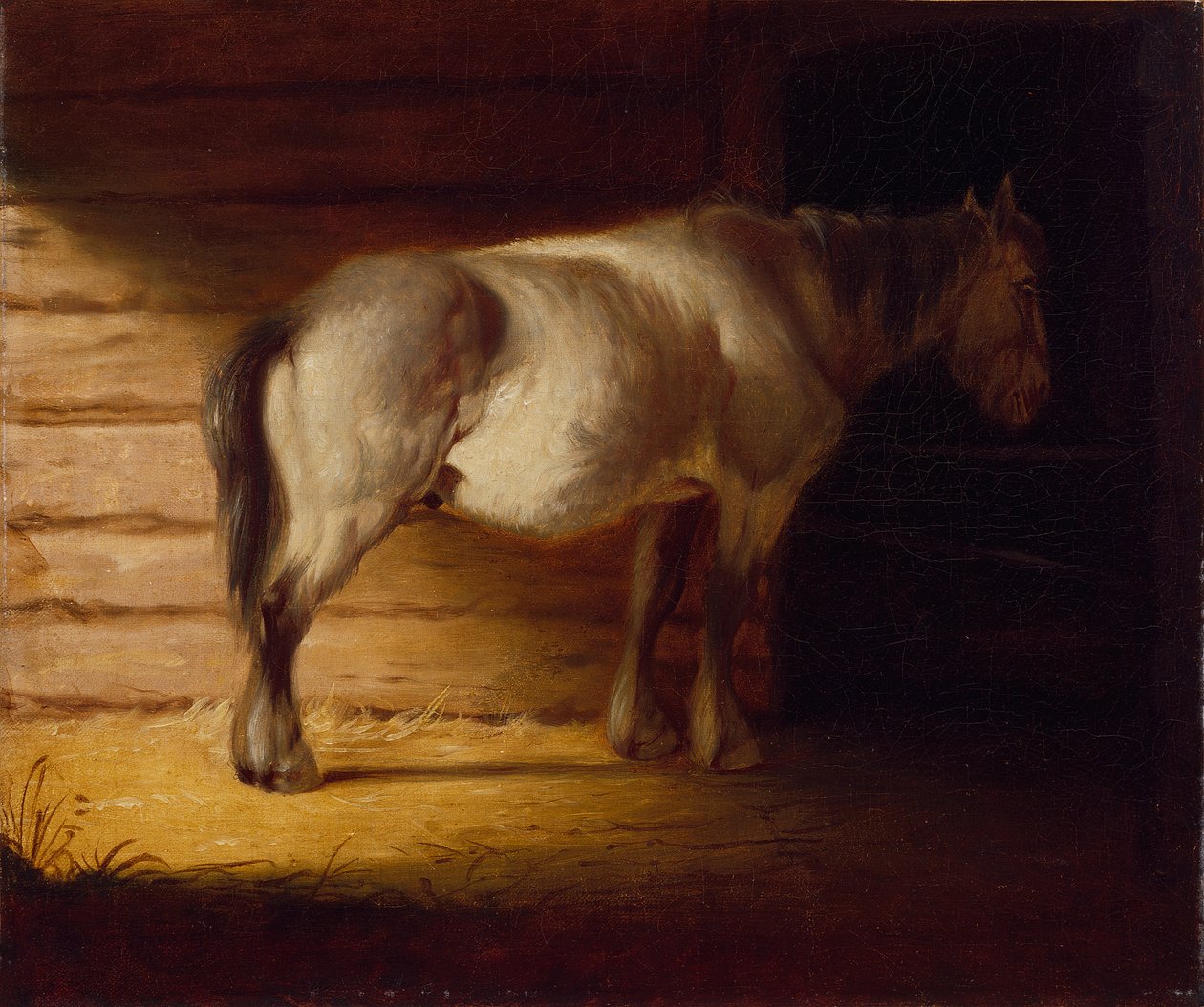 Oud veldpaard, 1856 (olieverf op doek) door George Caleb Bingham
