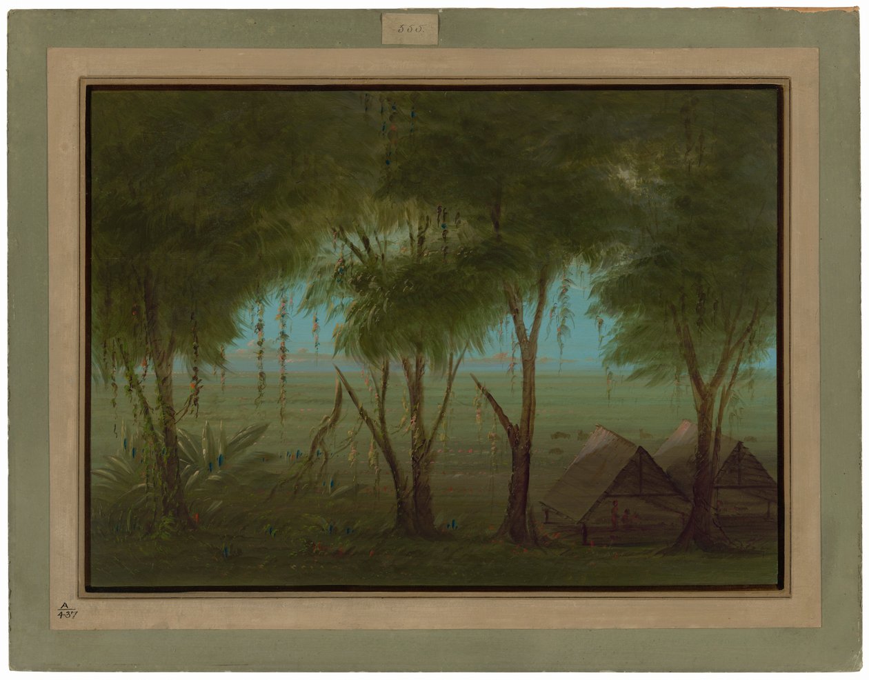 Een Connibo-dorp door George Catlin