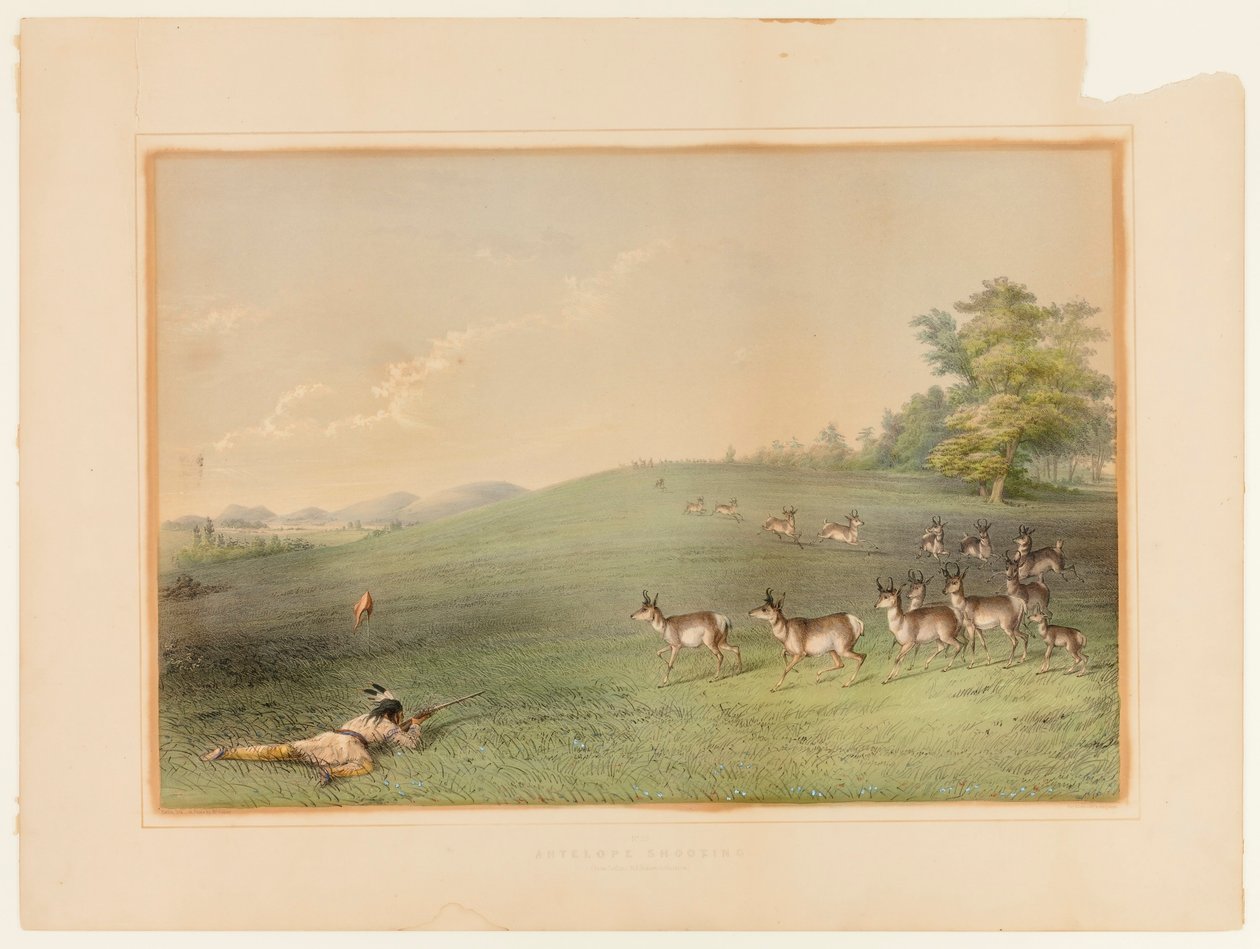 Antilopen schieten--nr. 20 door George Catlin