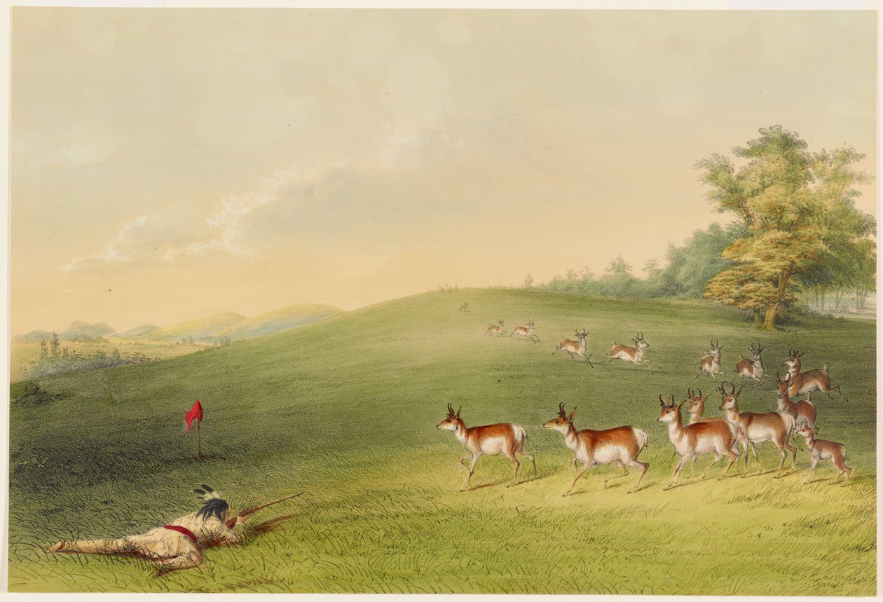 Antilopenjacht door George Catlin