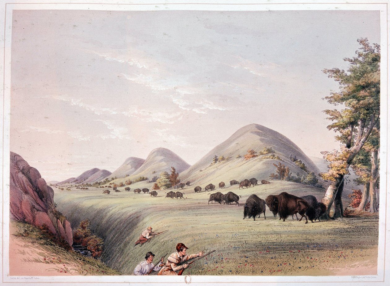 Bizonjacht door George Catlin
