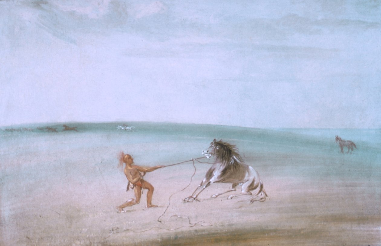 Het wilde paard afbreken door George Catlin