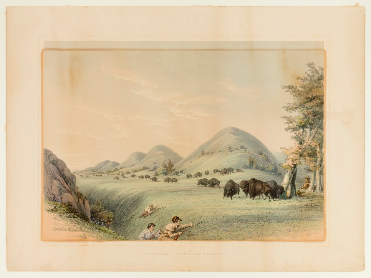 Buffeljacht; naderen in een ravijn - nr. 11 door George Catlin