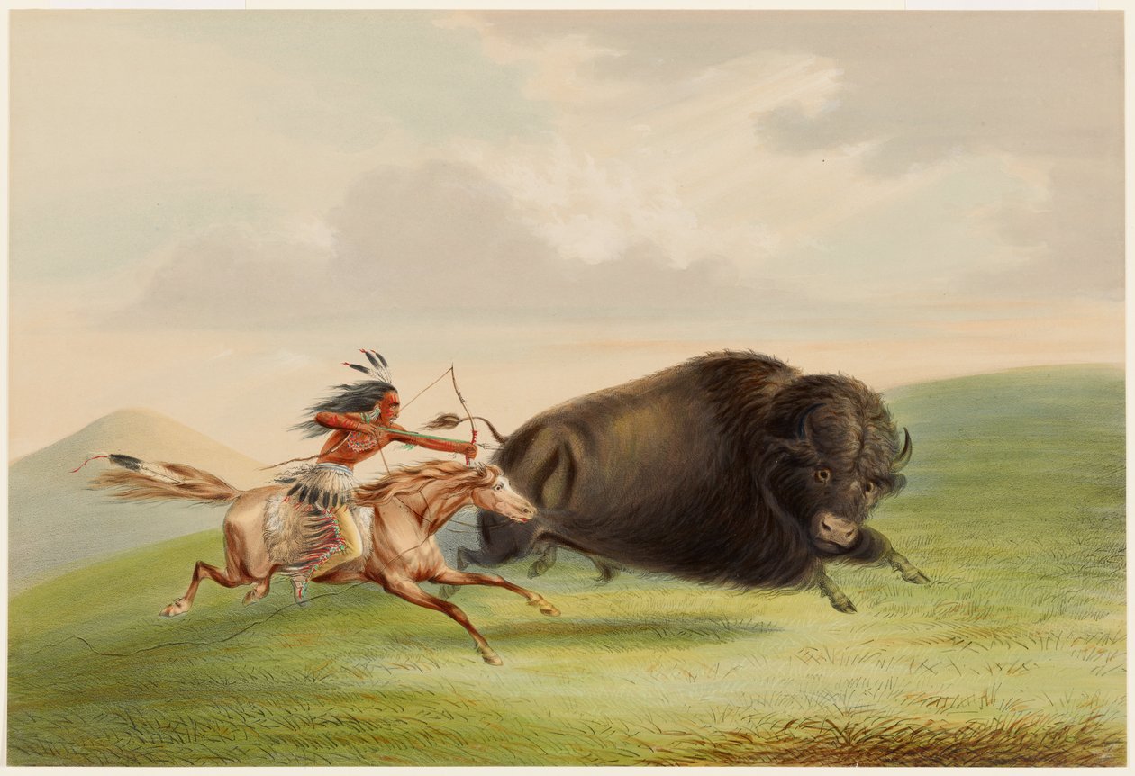 Buffeljacht, Achtervolging door George Catlin