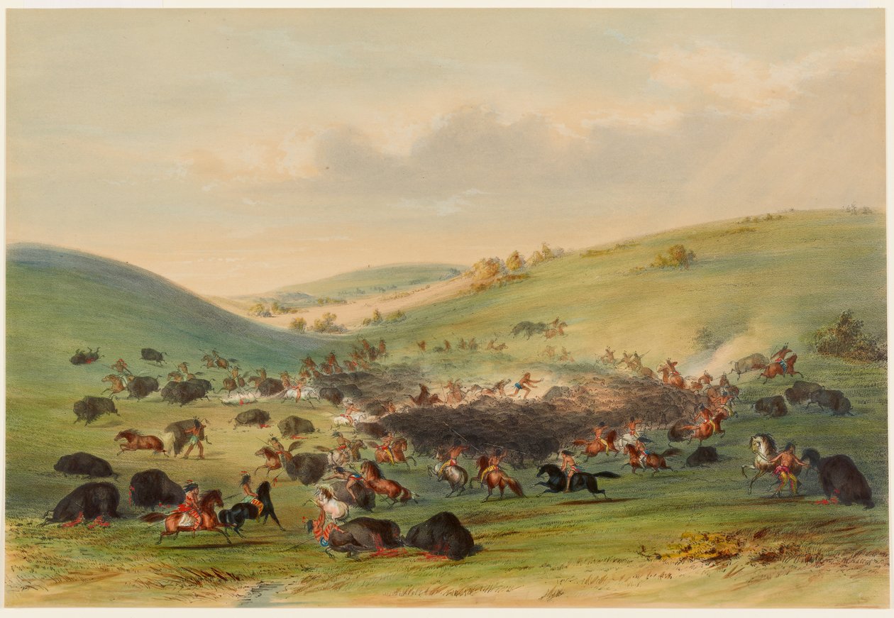Buffalojacht, omsingeling door George Catlin