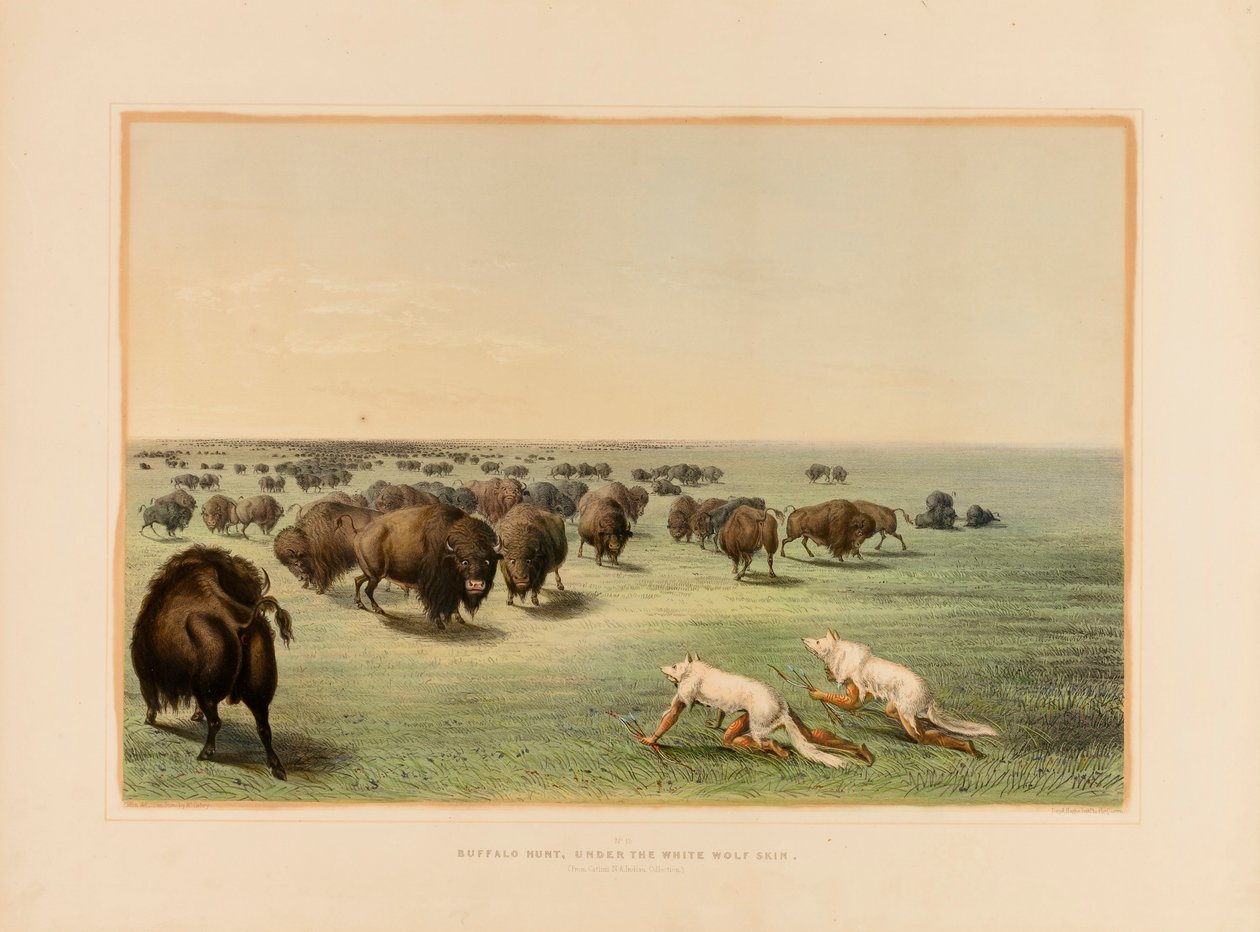 Buffeljacht, onder de Witte Wolfskin - nr. 13 door George Catlin