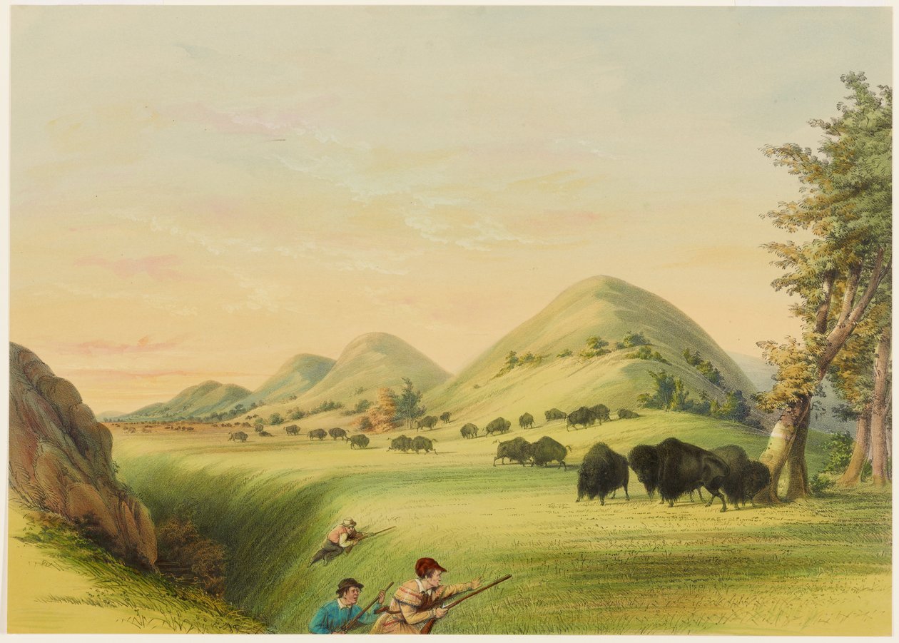 Buffeljacht, nadering in een ravijn door George Catlin