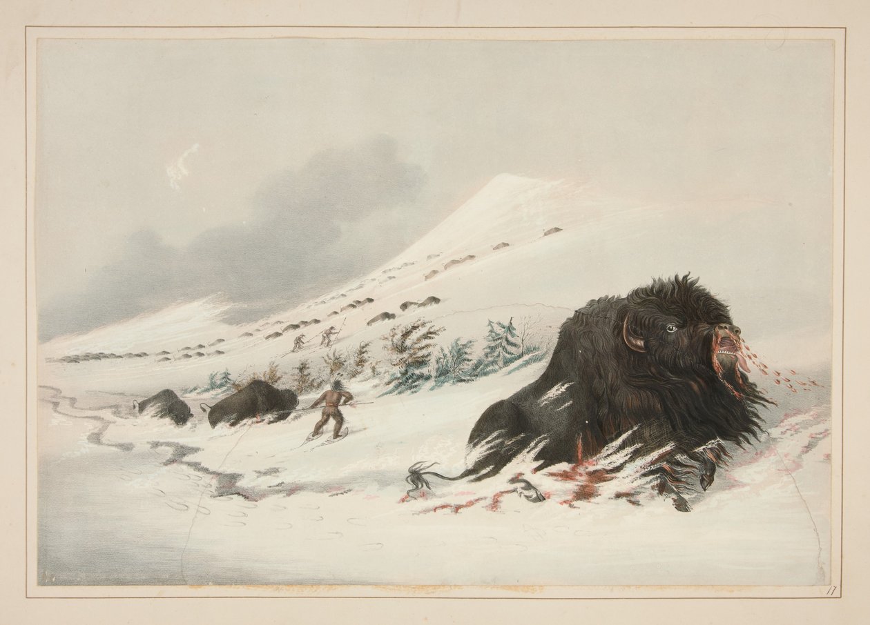 Stervende bizonstier in een sneeuwduin, plaat 17 uit het Portfolio van de Noord-Amerikaanse Indianen door George Catlin