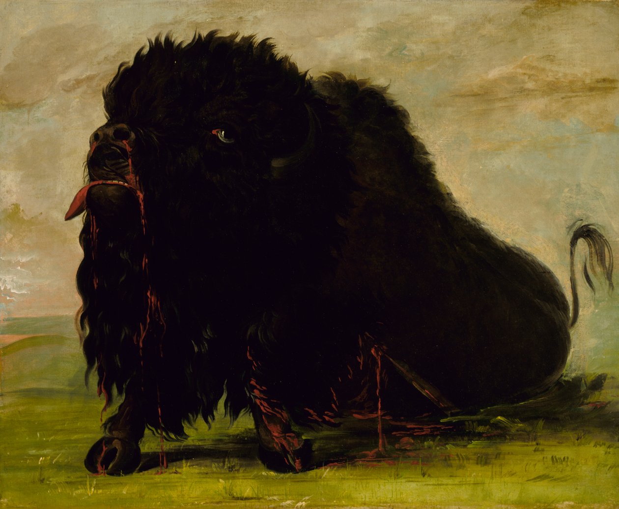 Stervende Buffel, Geschoten met een Pijl, 1832-1833 door George Catlin