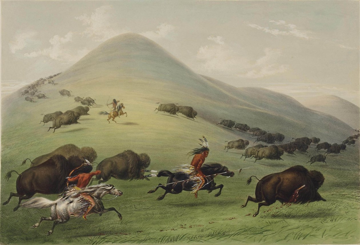 De Buffeljacht door George Catlin