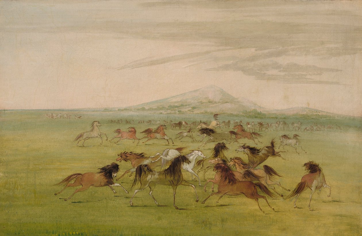 Wilde paarden aan het spelen door George Catlin