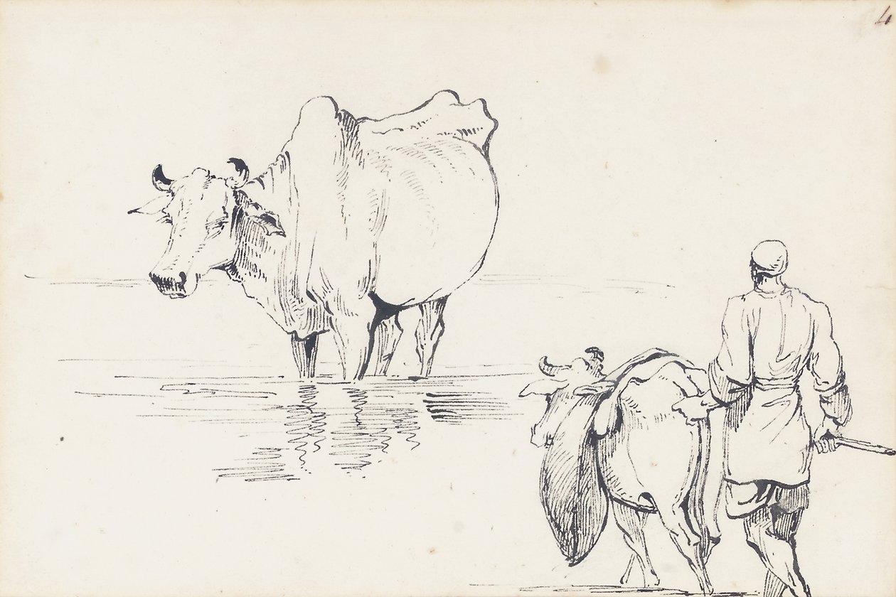 Studies van Indiase vee door George Chinnery