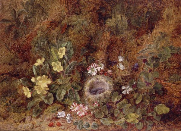 Stilleven met Vogelnest en Wilde Bloemen door George Clare