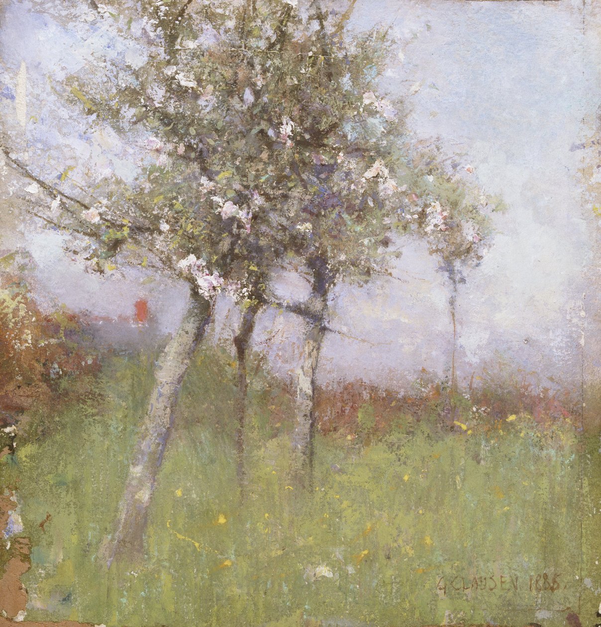 Appelbloesem door George Clausen