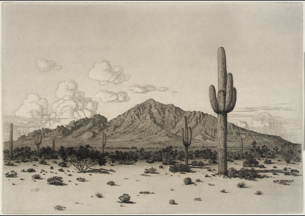Camelback Mountain, Phoenix door George Elbert Burr
