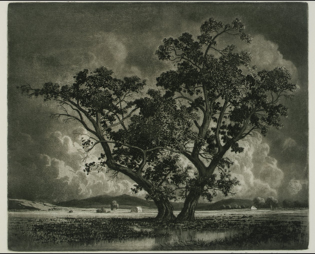 Oud Cottonwoods, Colorado door George Elbert Burr