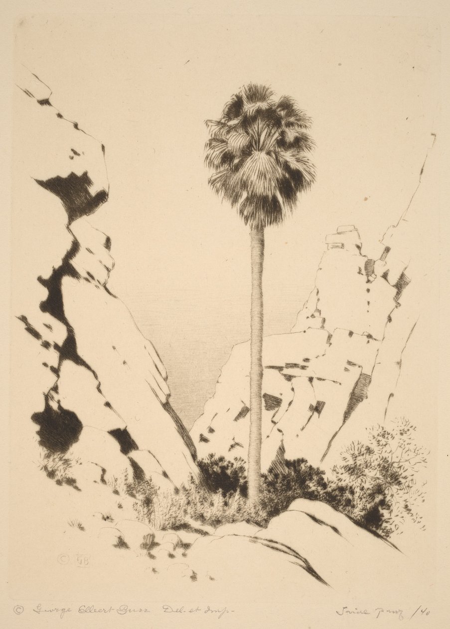 Palm Canyon (nr. 1) door George Elbert Burr