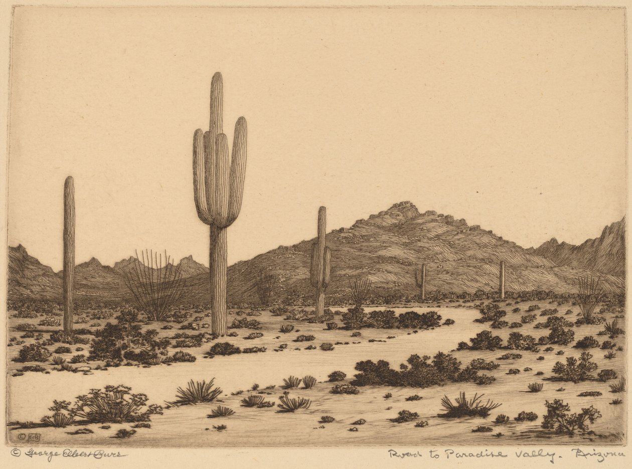 Weg naar Paradise Valley, Arizona door George Elbert Burr