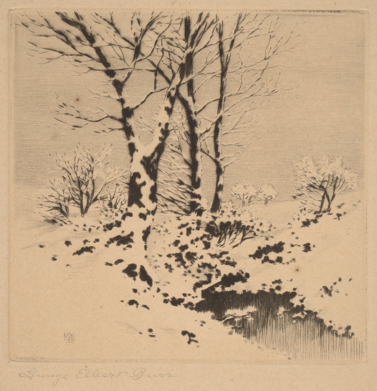 Sneeuw door George Elbert Burr