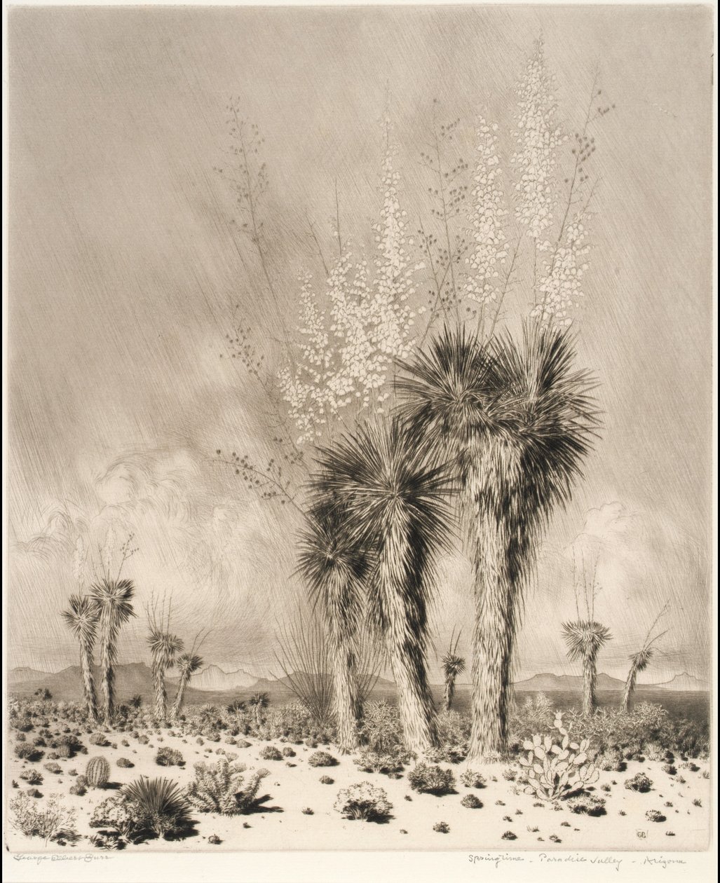 Lente, Paradise Valley, Arizona door George Elbert Burr