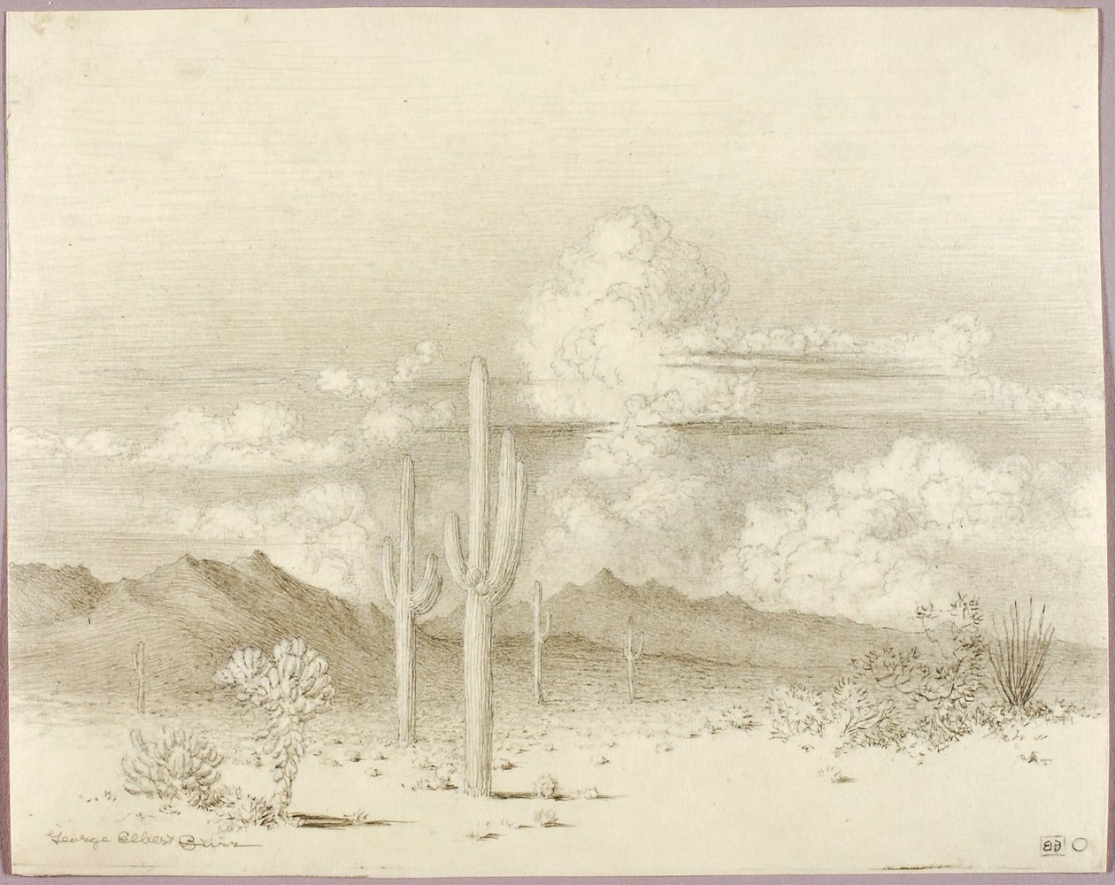 Zonder titel (overdrachtstekening voor Avond, Paradise Valley, Arizona) door George Elbert Burr