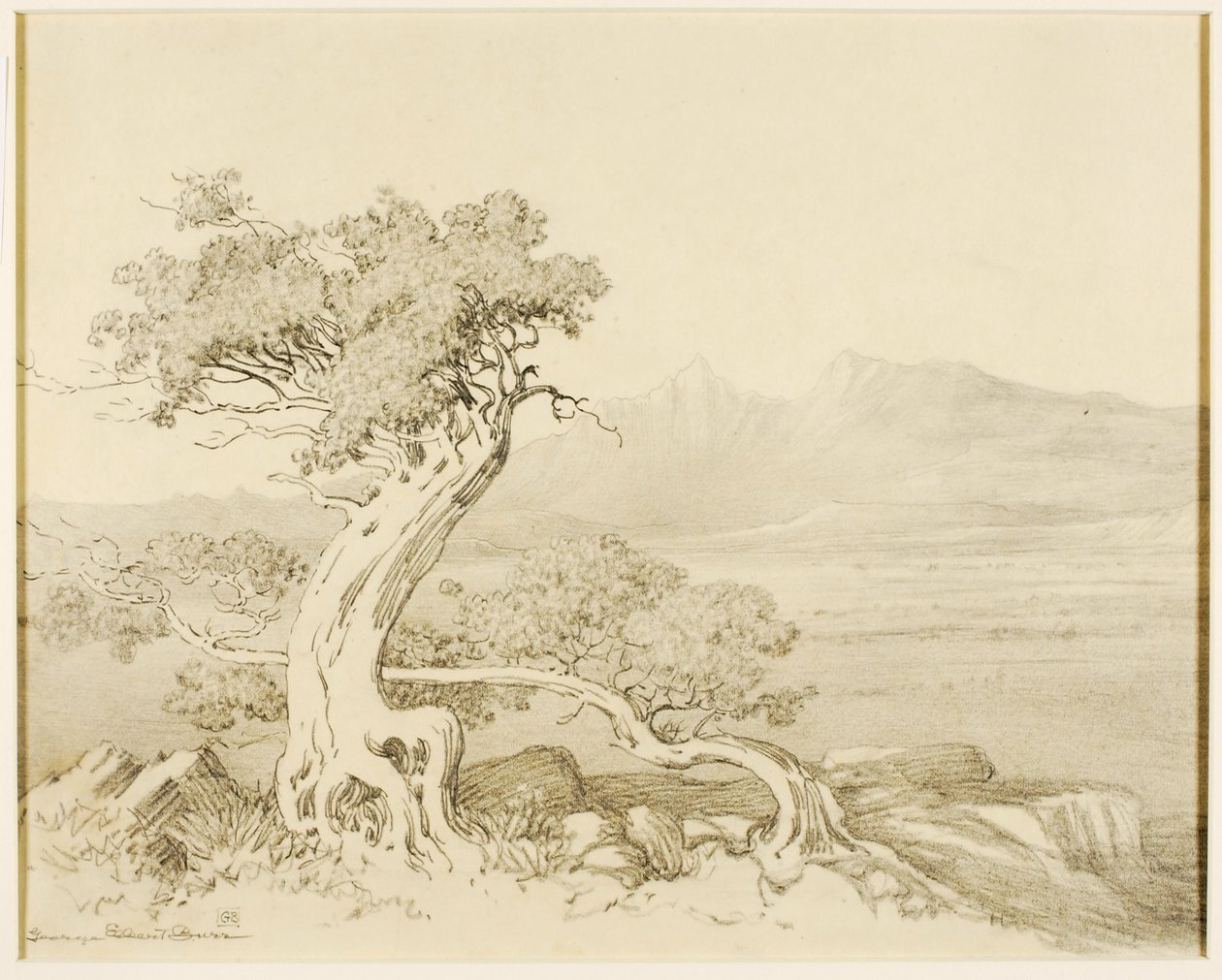 Zonder titel (transfer tekening voor Old Cedars en Spanish Peaks) door George Elbert Burr